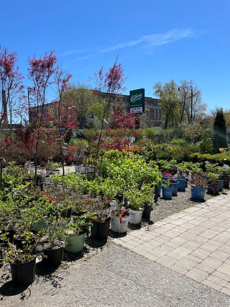 Custom landscaping services in Buffalo, NY - Elbers Landscape Service