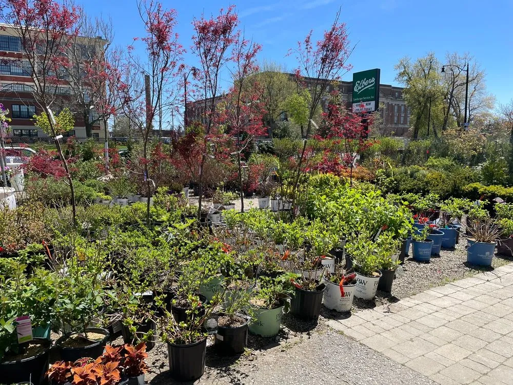 Reliable lawn mowing service with custom design in Buffalo, NY by Elbers Landscape Service