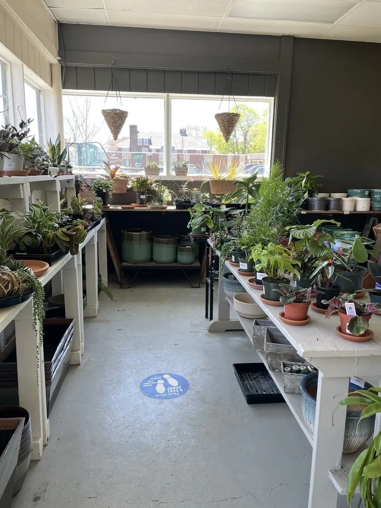 Expert garden landscaping near you across Buffalo, NY - Elbers Landscape Service