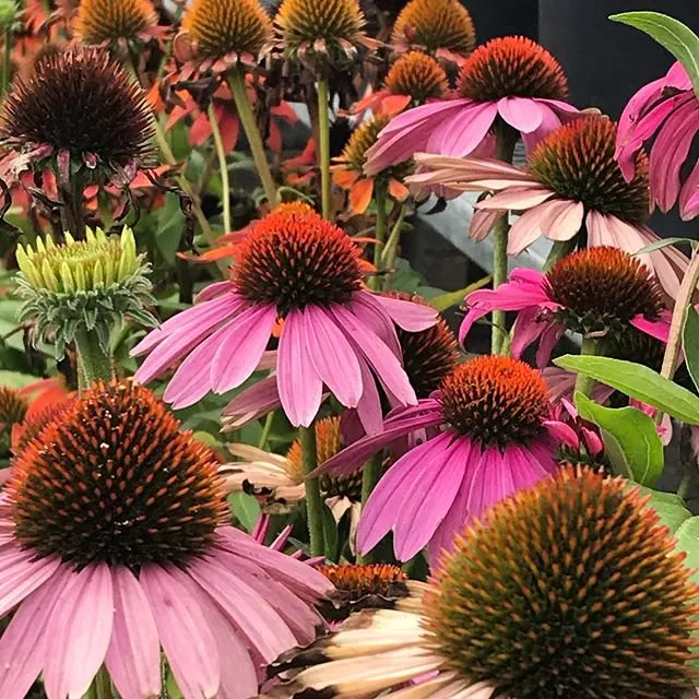 Expert landscaping services in Buffalo, NY by Elbers Landscape Service