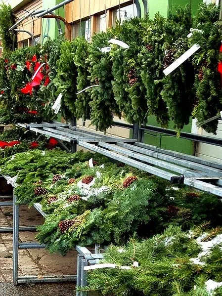 Trusted yard maintenance in Buffalo, NY - Elbers Landscape Service