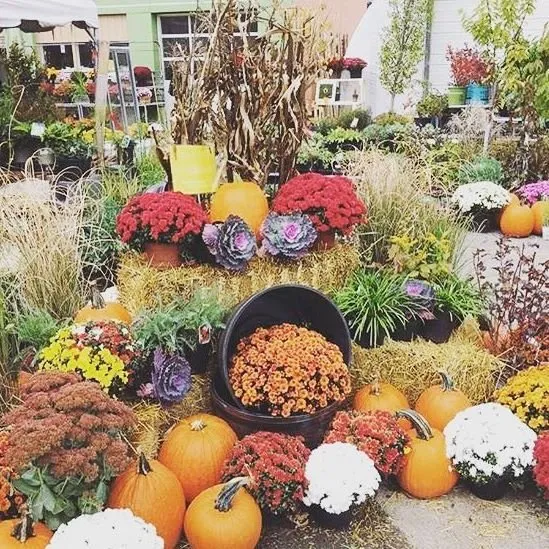 Custom landscape installation in Buffalo, NY by Elbers Landscape Service