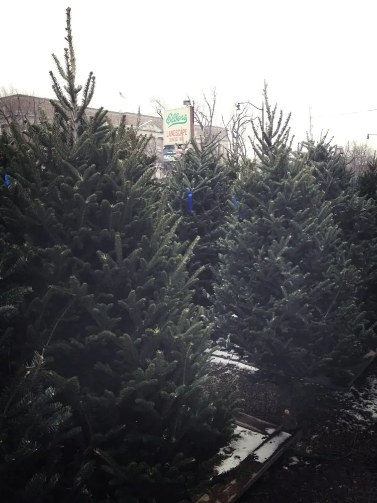 Affordable landscaping services experts serving Buffalo, NY - Elbers Landscape Service