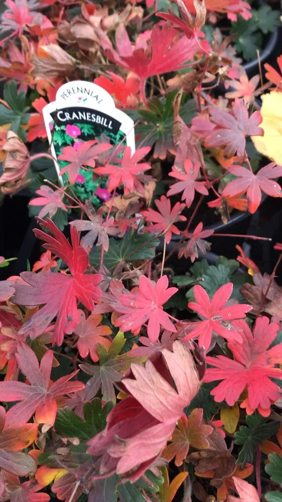 Top-rated landscape installation with custom design across Buffalo, NY - Elbers Landscape Service