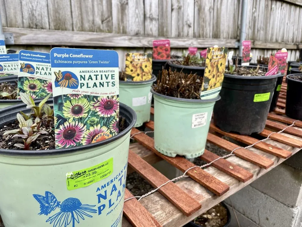 Affordable residential landscaping for outdoor upgrades across Buffalo, NY - Elbers Landscape Service