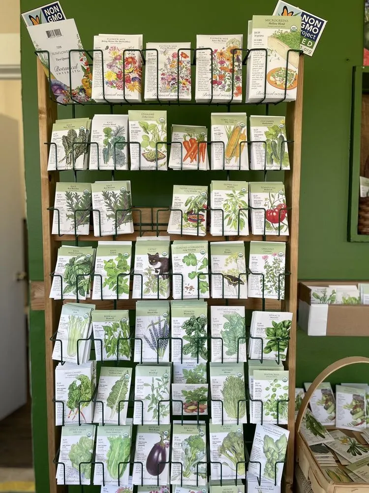 Top-rated landscaping services with custom design across Buffalo, NY - Elbers Landscape Service