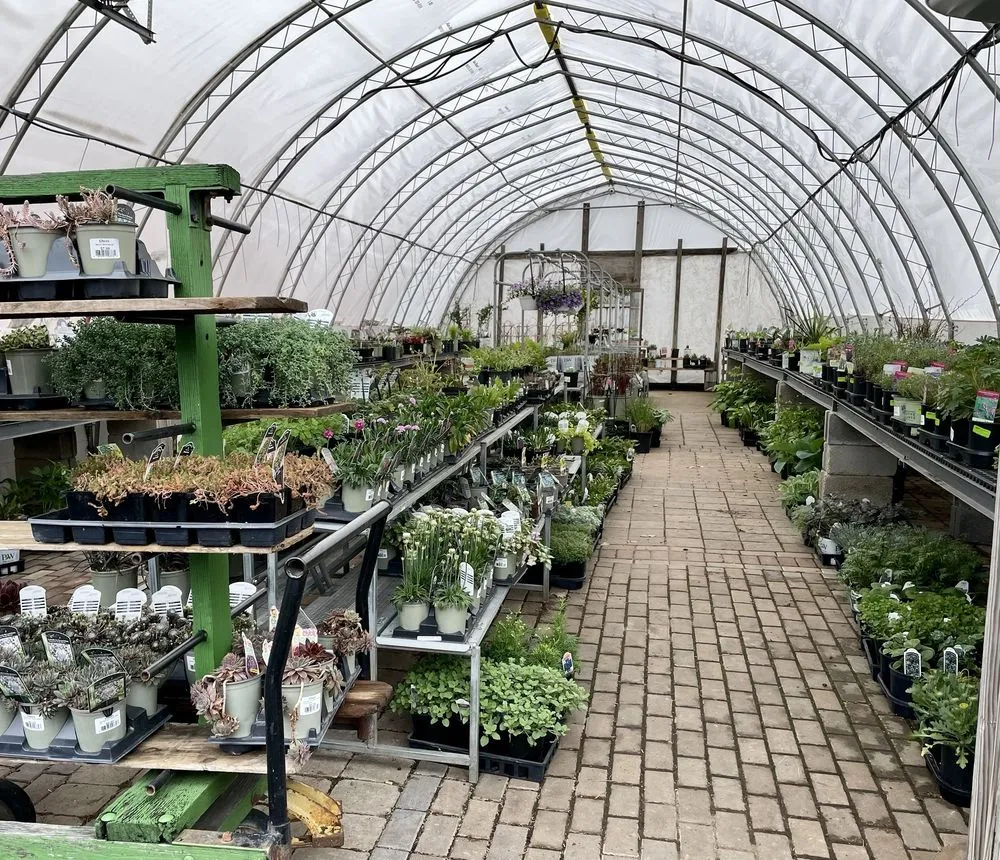 Expert landscape installation for beautiful yards in Buffalo, NY by Elbers Landscape Service