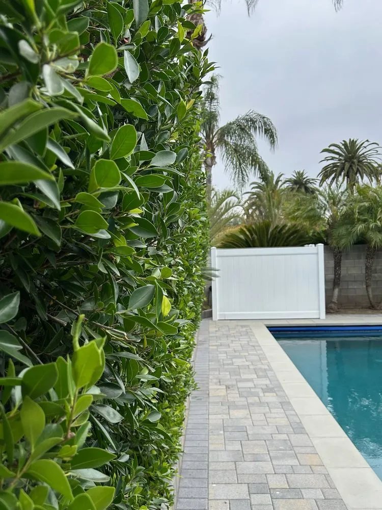 Local landscaping services experts serving El Monte, CA - ELC Landscaping