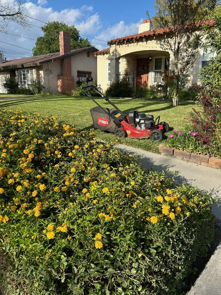 Affordable garden landscaping experts serving El Monte, CA - ELC Landscaping