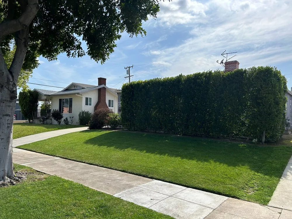 Top-rated outdoor landscaping near you in El Monte, CA by ELC Landscaping