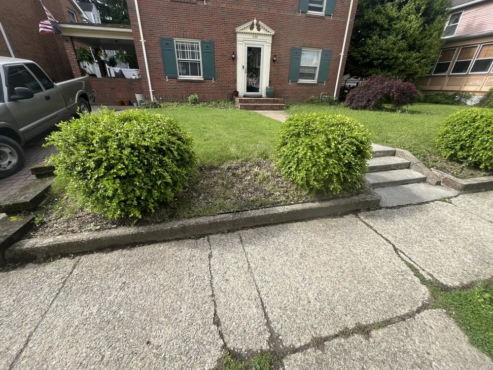 Expert yard cleanup service in Avonmore, PA by E.L.C. Lawncare & Landscaping