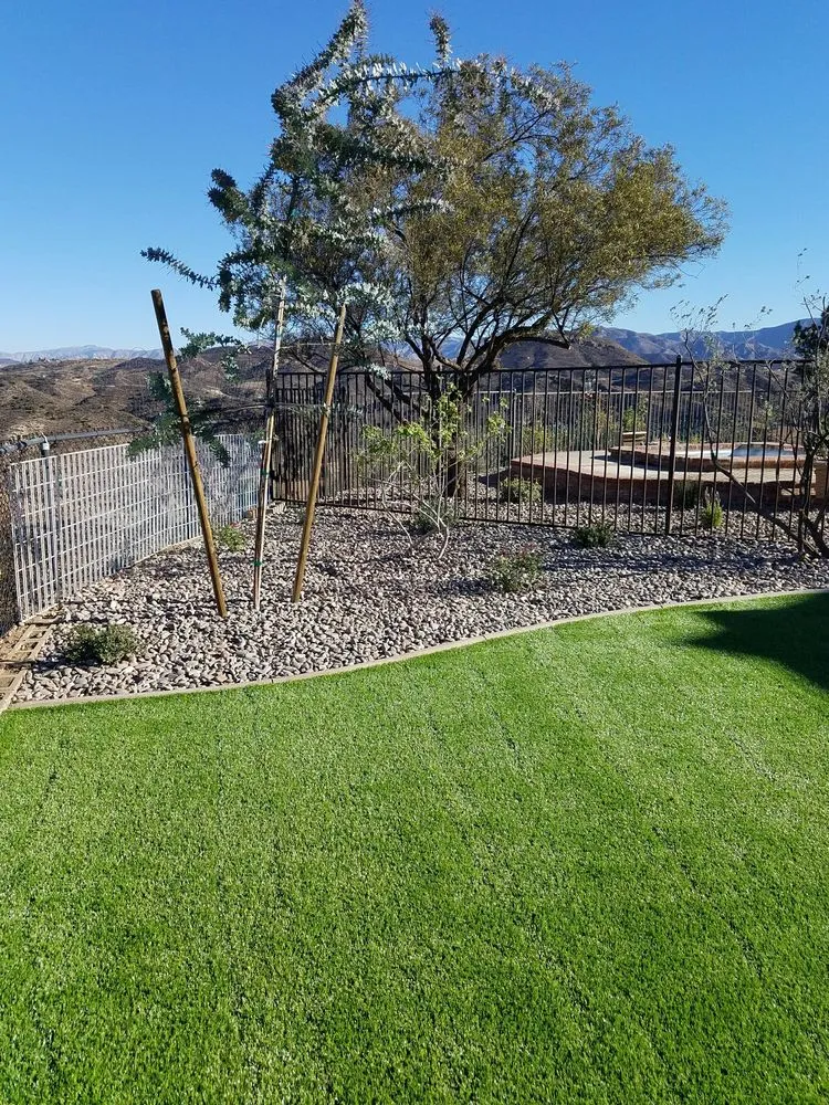 Local yard cleanup service for year-round maintenance in Santa Clarita, CA by Eldarica Nursery & Landscape