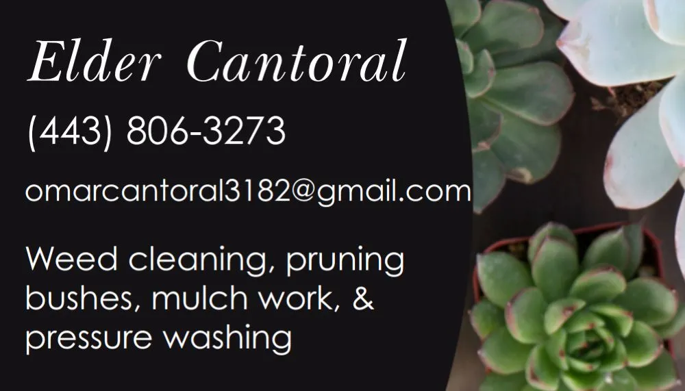 Reliable lawn care service experts serving Dundalk, MD - Elder Cantoral