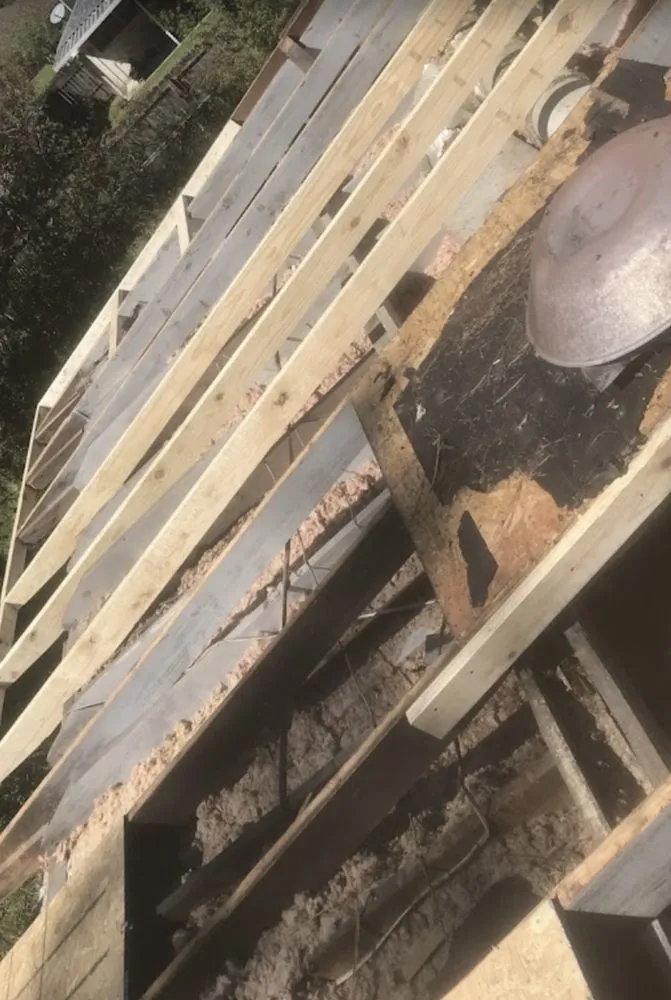 Local landscaping services in Baton Rouge, LA - Elder Construction