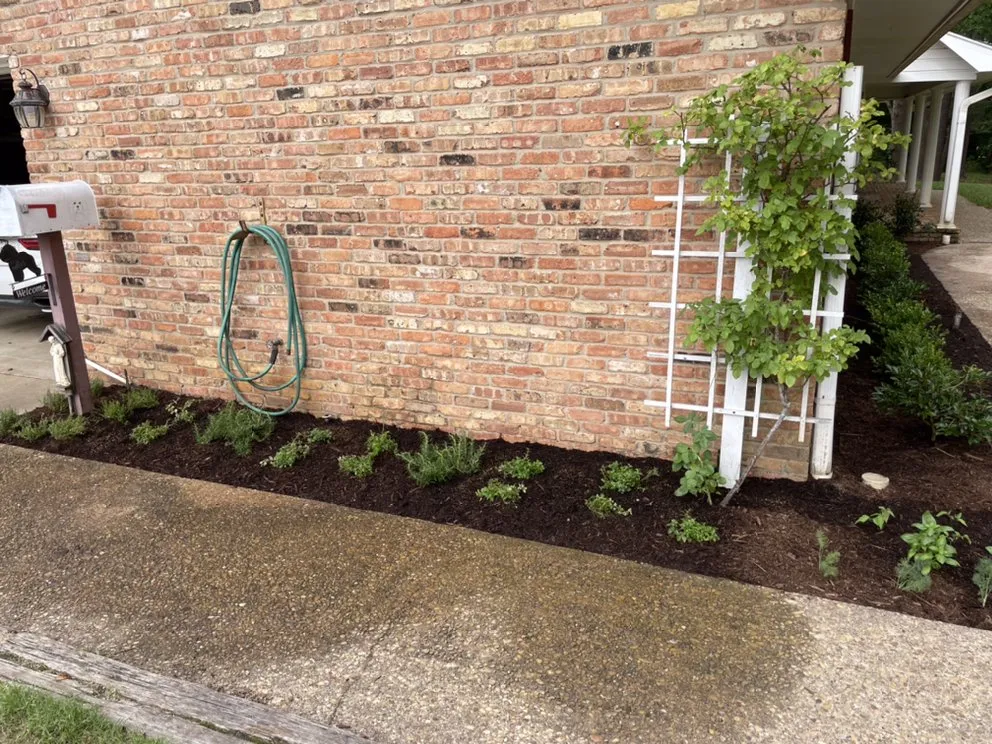 Reliable outdoor landscaping for beautiful yards across Athens, TX - Elder Creek Landscaping