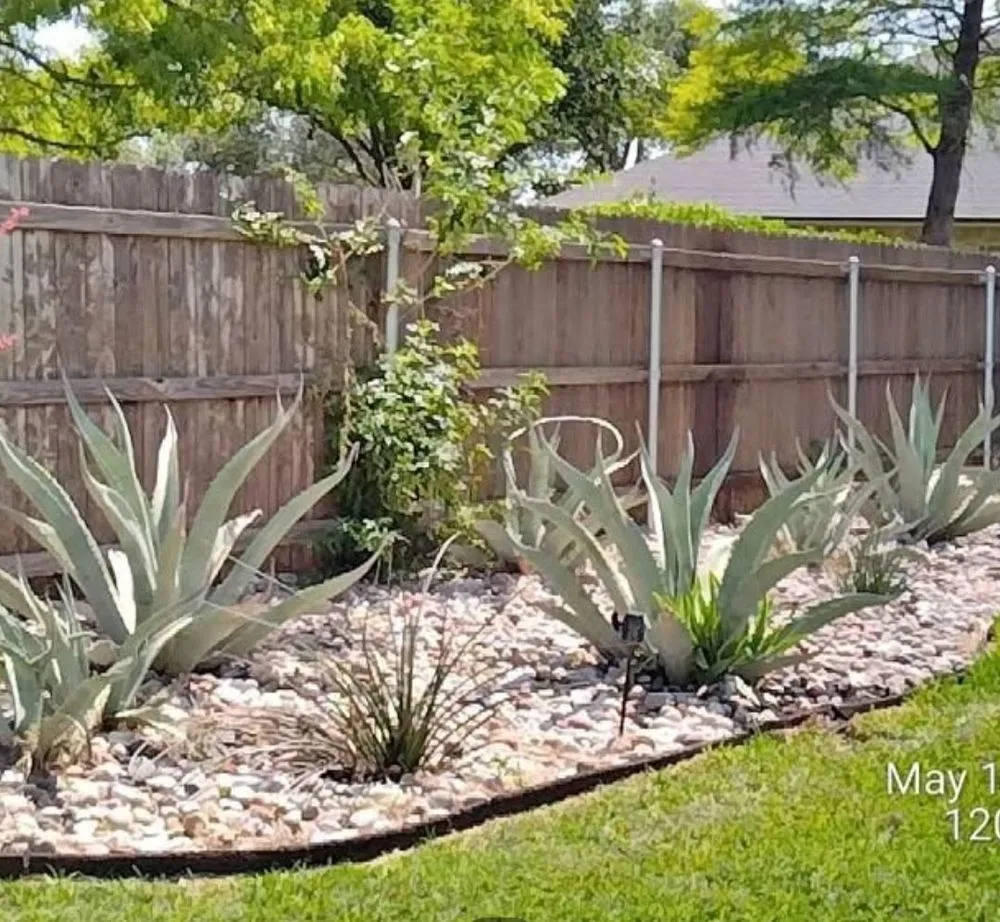 Professional lawn care service in Central Islip, NY by Elder Landscaping