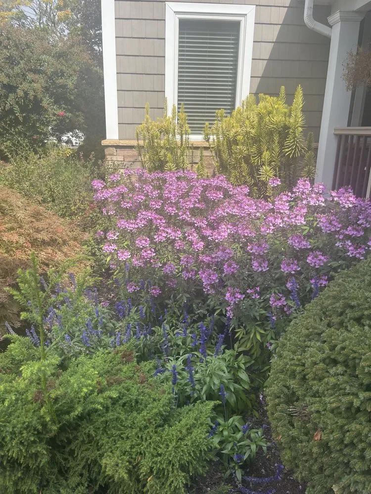 Local landscape design in Central Islip, NY - Elder Landscaping