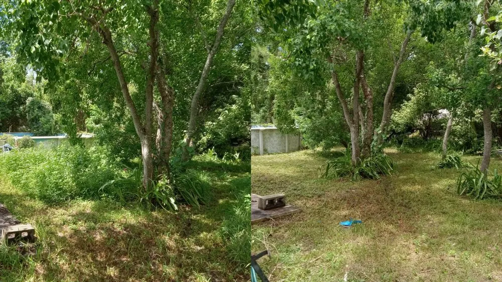 Professional yard cleanup service in Gulf Breeze, FL by Elder Scapes