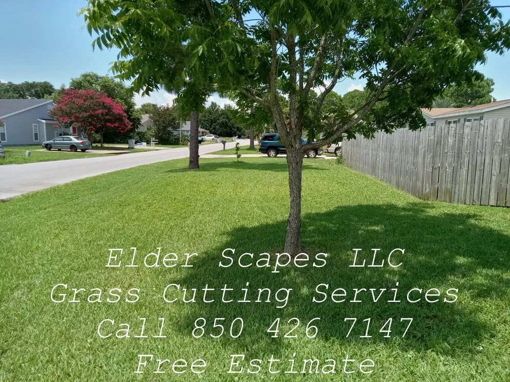 Custom residential landscaping for beautiful yards in Gulf Breeze, FL by Elder Scapes