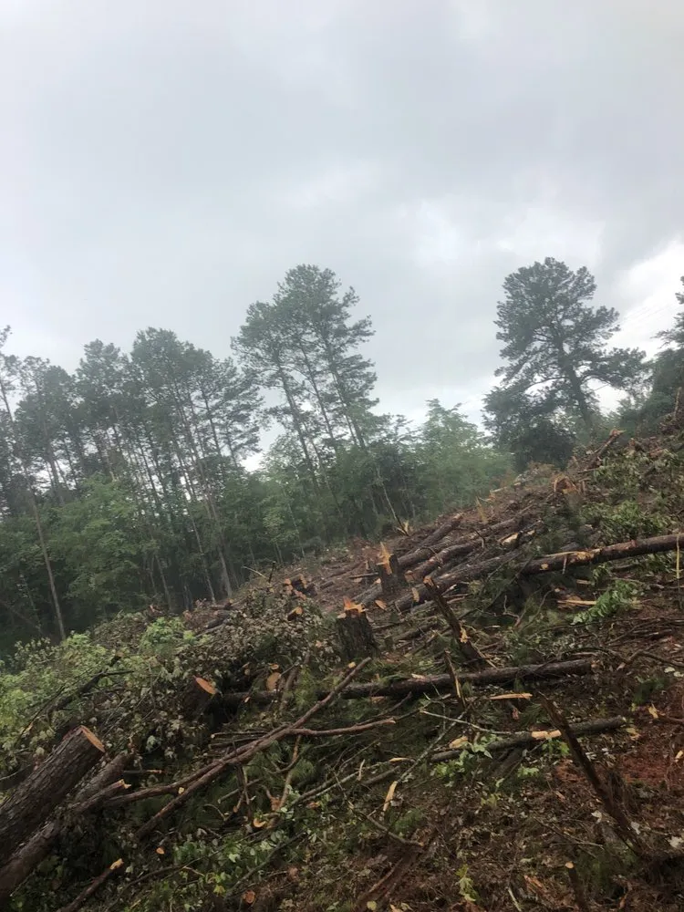 Trusted landscape design for beautiful yards in Gaffney, SC by Elders farm