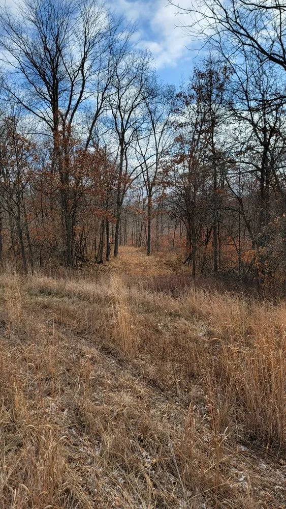 Reliable landscape installation in Ottumwa, IA - Elders Landscaping & Tree Service