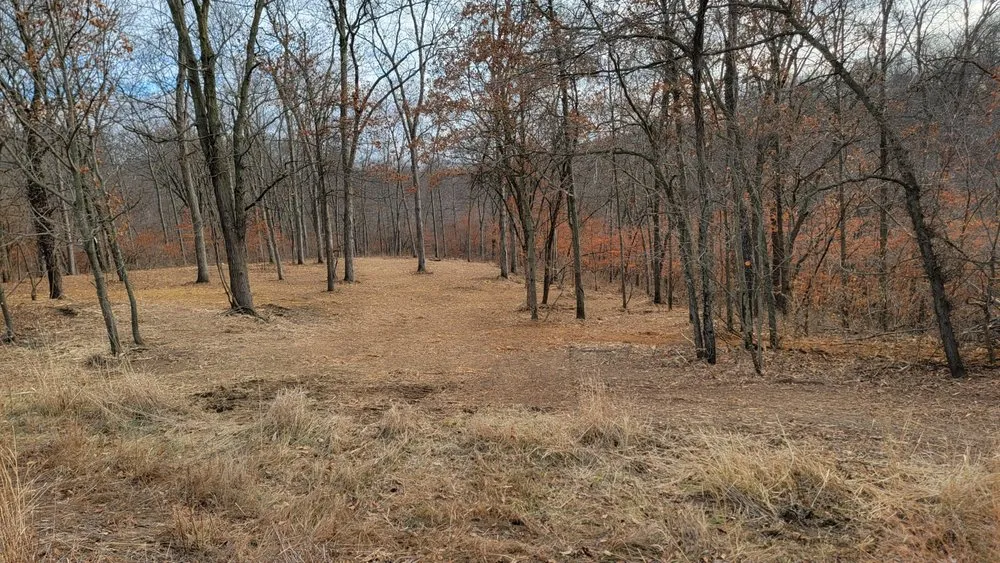 Local yard cleanup service for beautiful yards across Ottumwa, IA - Elders Landscaping & Tree Service