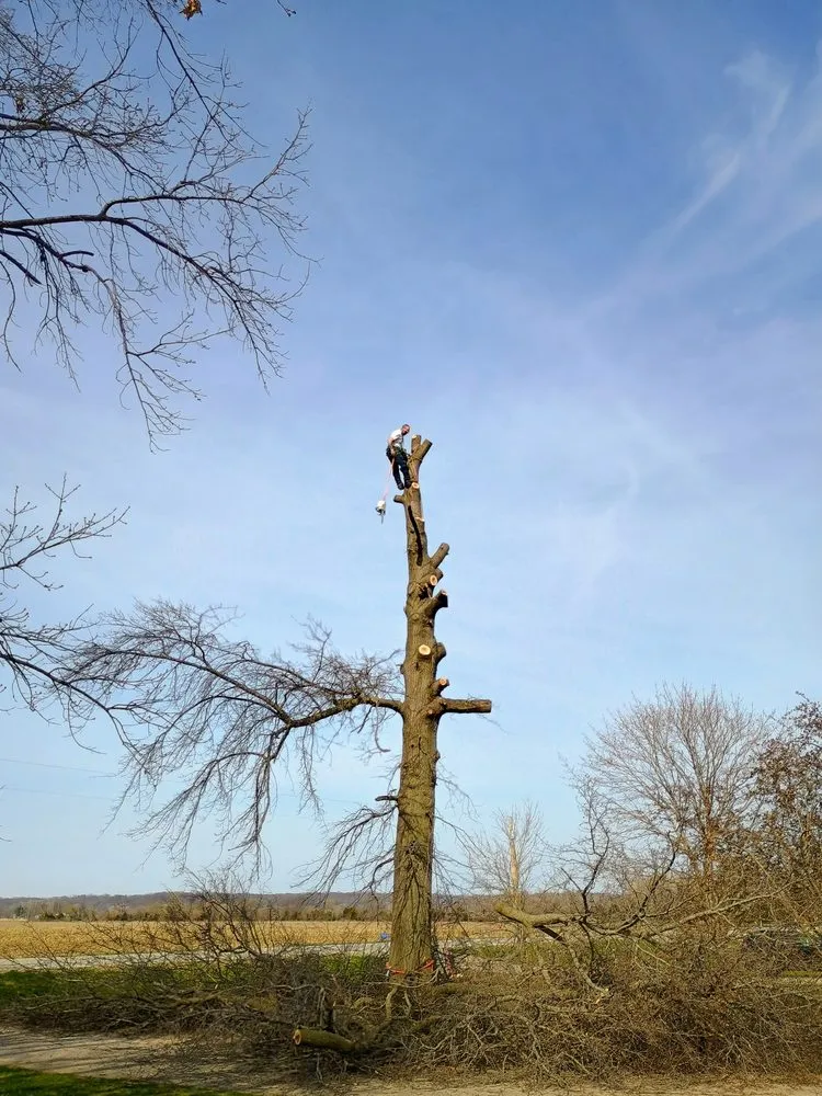 Custom garden landscaping in Ottumwa, IA by Elders Landscaping & Tree Service