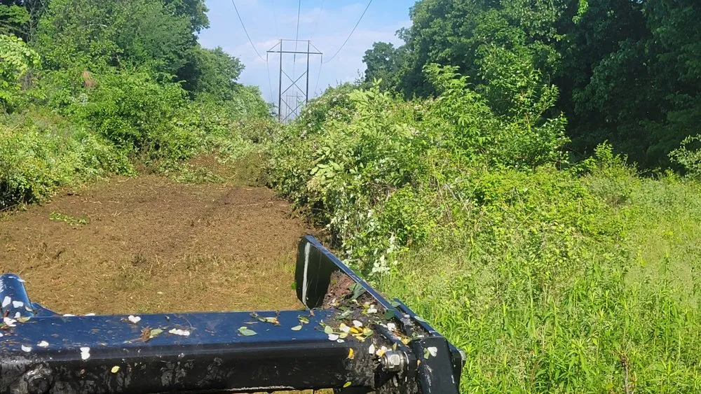 Expert yard cleanup service experts serving Ottumwa, IA - Elders Landscaping & Tree Service