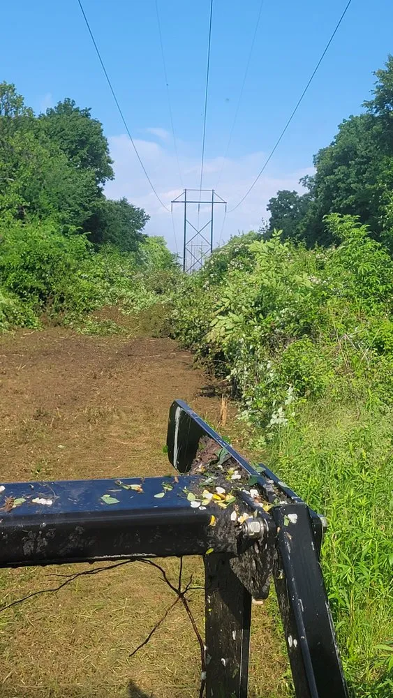 Custom yard maintenance for year-round maintenance in Ottumwa, IA by Elders Landscaping & Tree Service