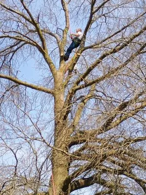 Elders Landscaping & Tree Service