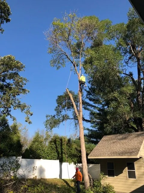 Professional lawn mowing service in Norwalk, IA by Elder's Tree Service