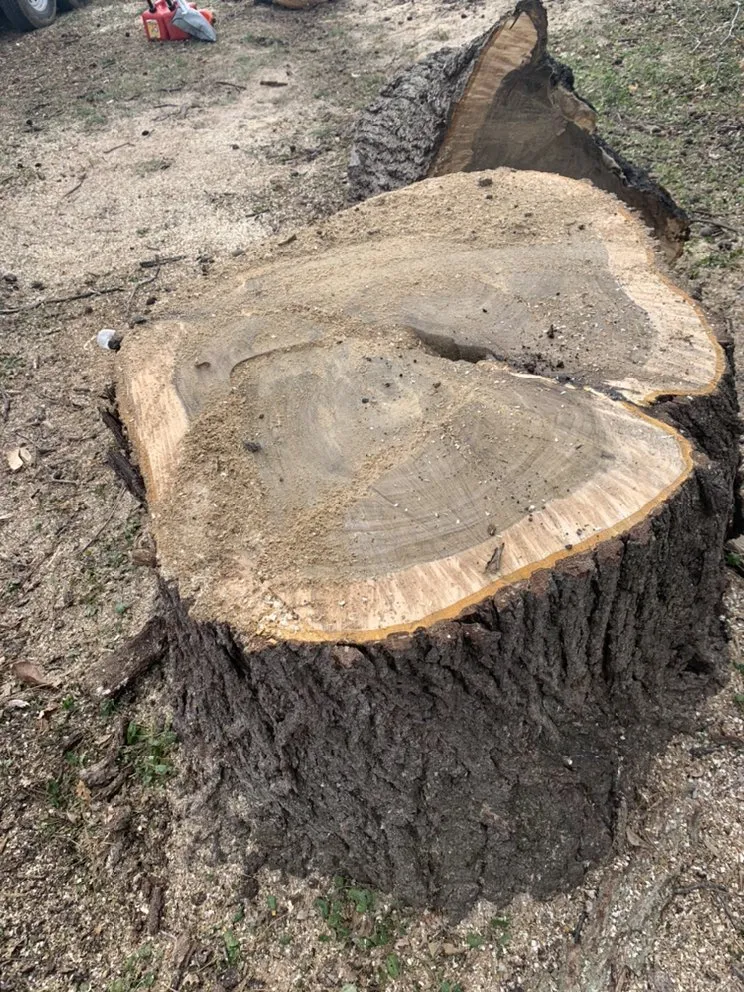 Affordable garden landscaping in Norwalk, IA by Elder's Tree Service