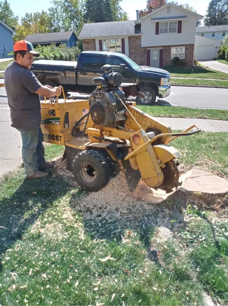 Affordable lawn mowing service in Norwalk, IA - Elder's Tree Service