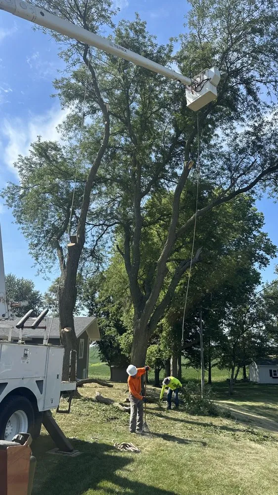 Professional lawn mowing service near you in Norwalk, IA by Elder's Tree Service