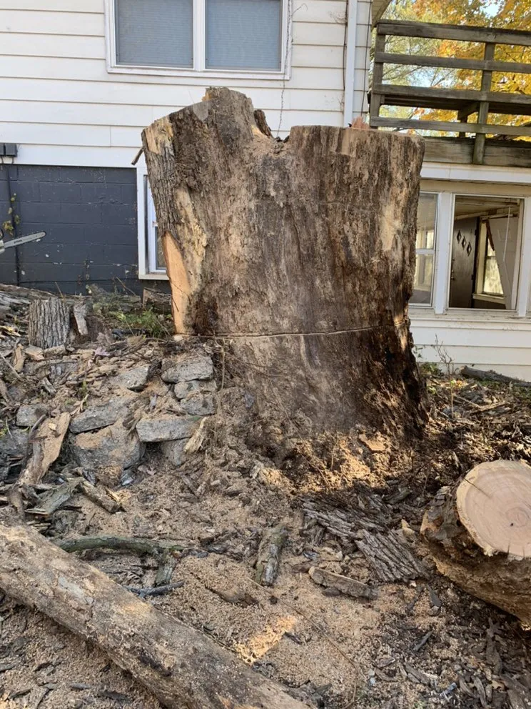 Professional landscaping services for residential properties in Norwalk, IA by Elder's Tree Service