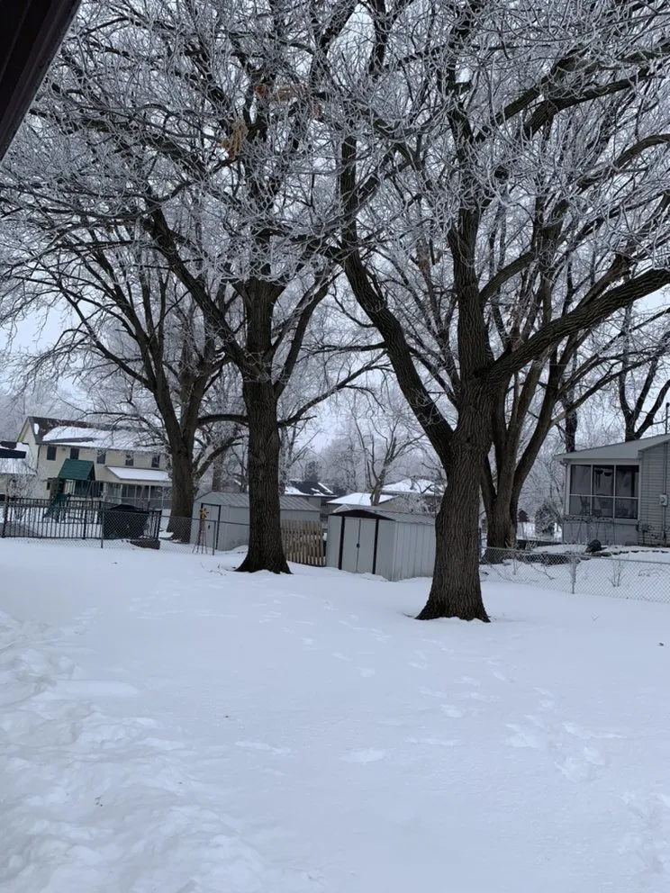 Professional outdoor landscaping in Norwalk, IA - Elder's Tree Service