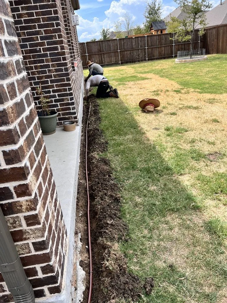 Top-rated yard cleanup service experts serving Plano, TX - Eldorado Irrigation and Landscape