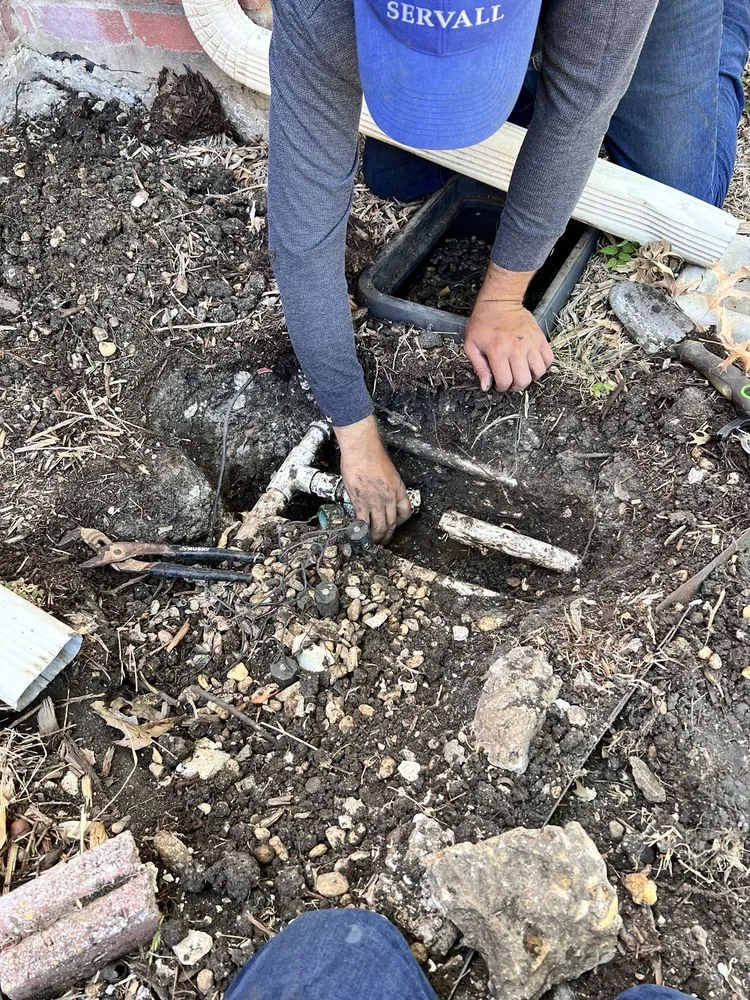 Reliable residential landscaping for year-round maintenance in Plano, TX by Eldorado Irrigation and Landscape