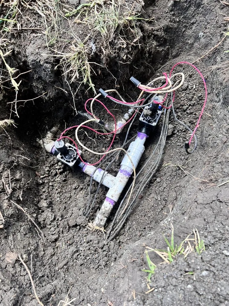 Top-rated landscaping services for year-round maintenance across Plano, TX - Eldorado Irrigation and Landscape