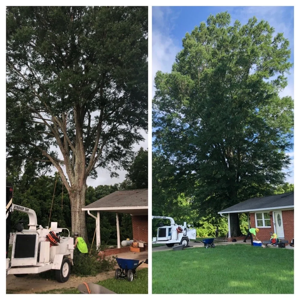 Reliable garden landscaping experts serving Oak Ridge, NC - Eldridge Arborist & Landscaping