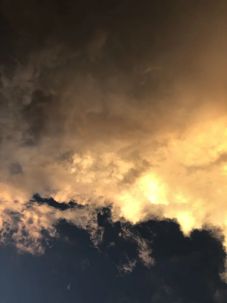 Top-rated lawn care service in Oak Ridge, NC - Eldridge Arborist & Landscaping