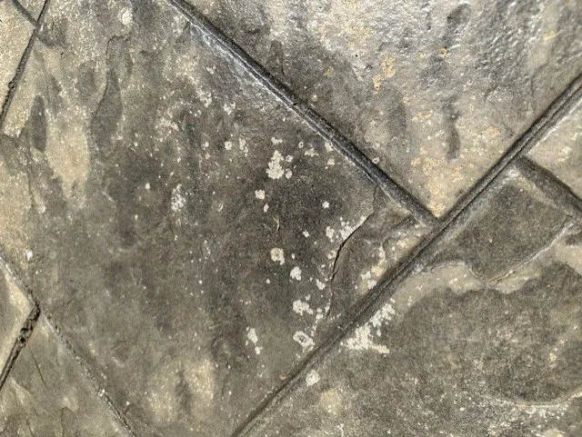 Local yard cleanup service in Concord, NH by Eldridge Concrete