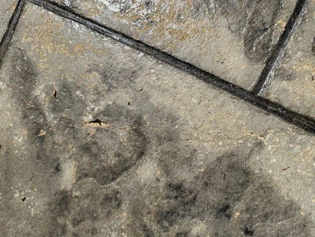 Local residential landscaping in Concord, NH - Eldridge Concrete