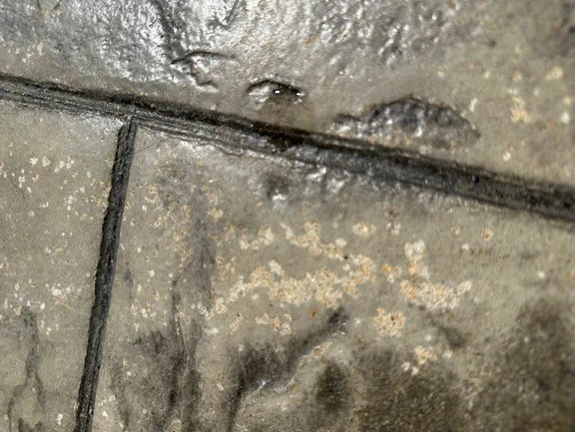 Affordable yard maintenance in Concord, NH - Eldridge Concrete