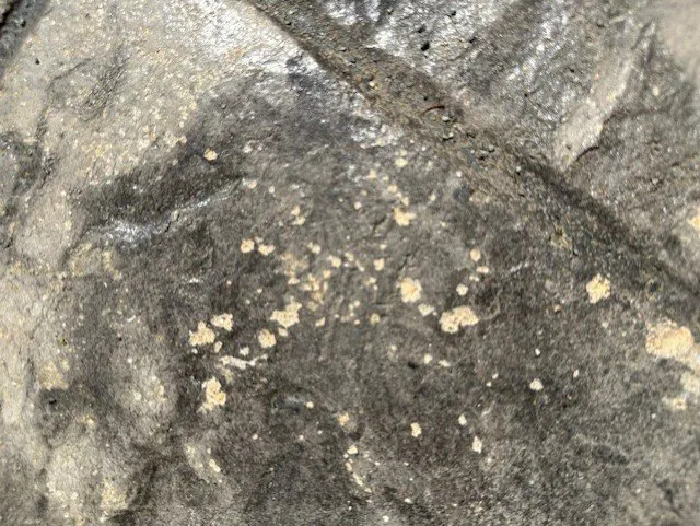 Affordable residential landscaping for homes in Concord, NH by Eldridge Concrete