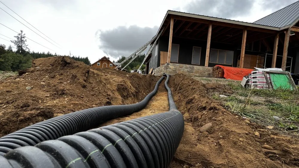 Expert yard cleanup service in Port Townsend, WA by Eldridge Landscape Construction