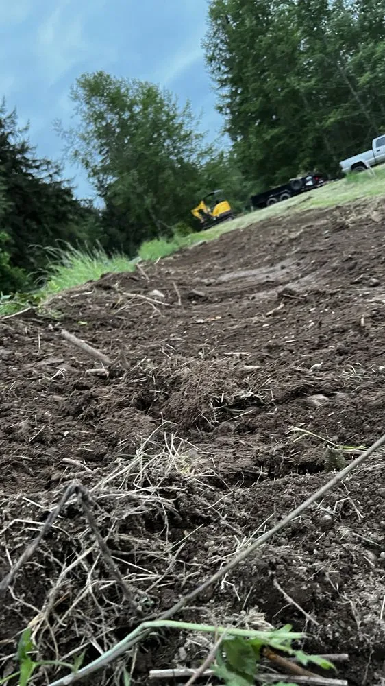 Expert lawn care service with custom design in Port Townsend, WA by Eldridge Landscape Construction