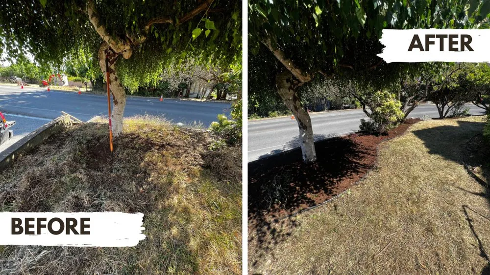 Expert yard maintenance in Port Townsend, WA - Eldridge Landscape Construction