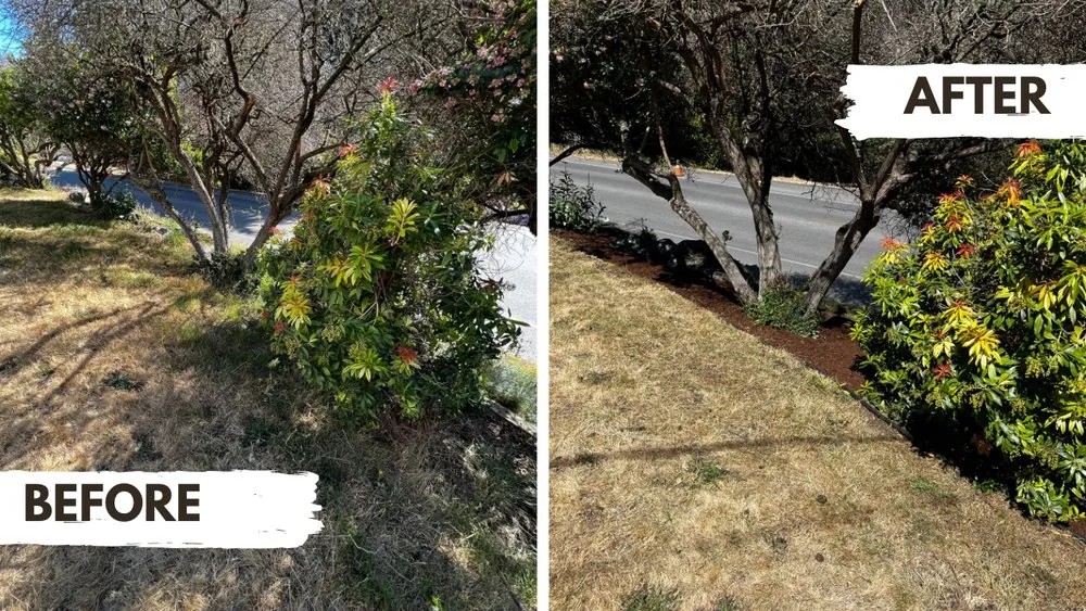 Affordable outdoor landscaping experts serving Port Townsend, WA - Eldridge Landscape Construction