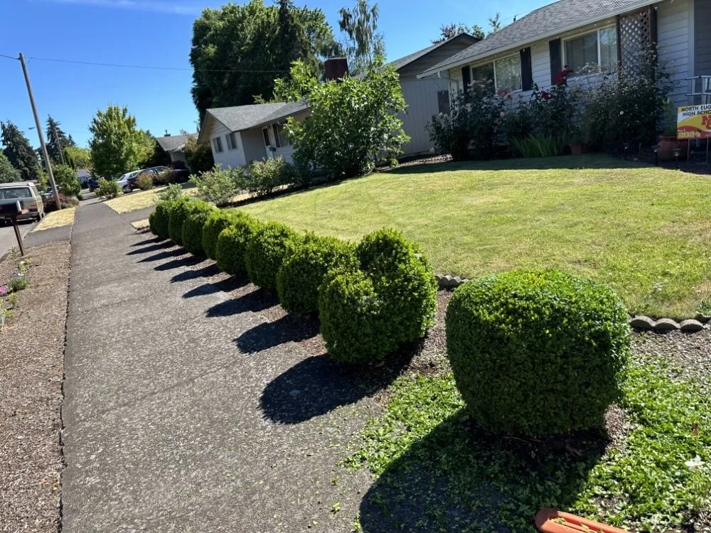 Top-rated landscape installation in Eugene, OR - Eleazar Yard Service